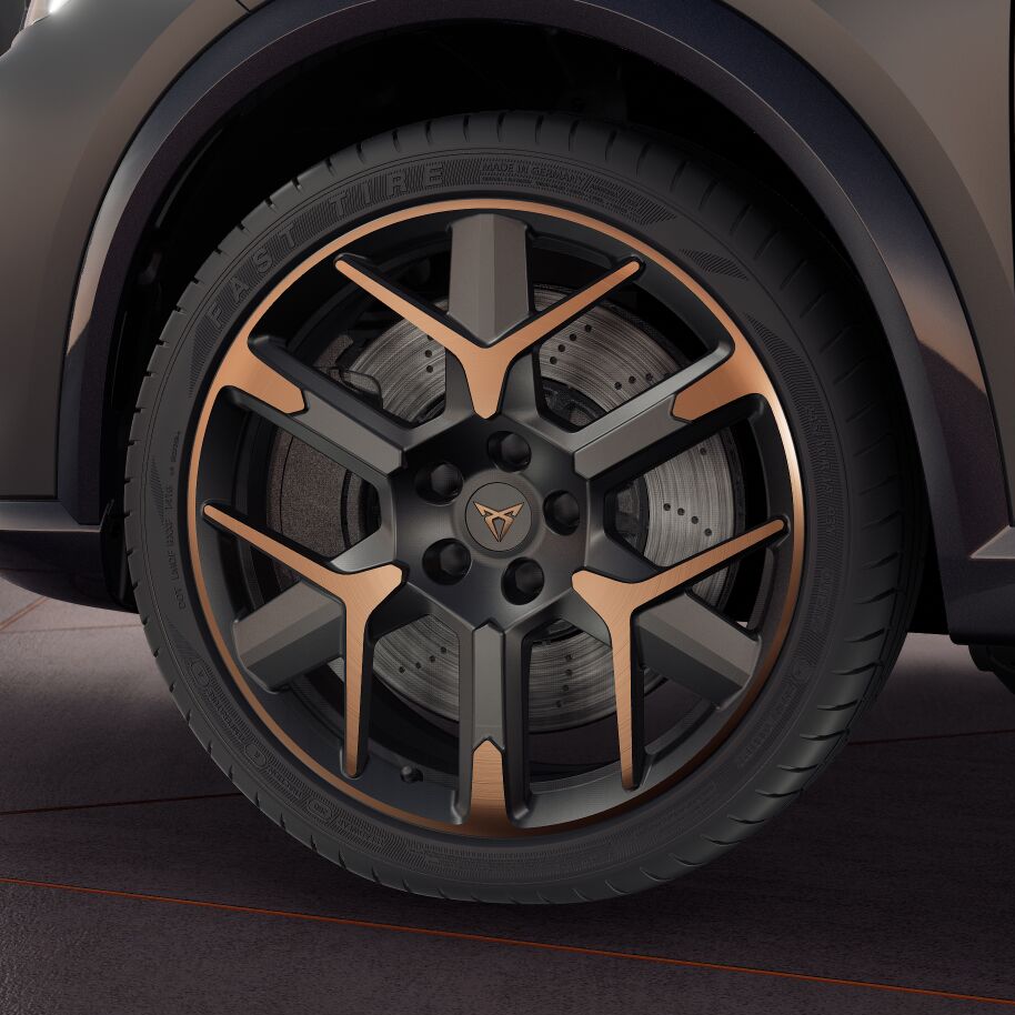 rims_cr.jpg